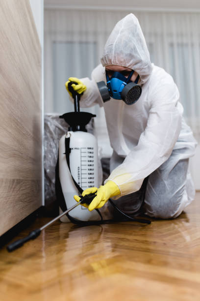 Best Pest Exclusion Services  in Pine Island Center, FL